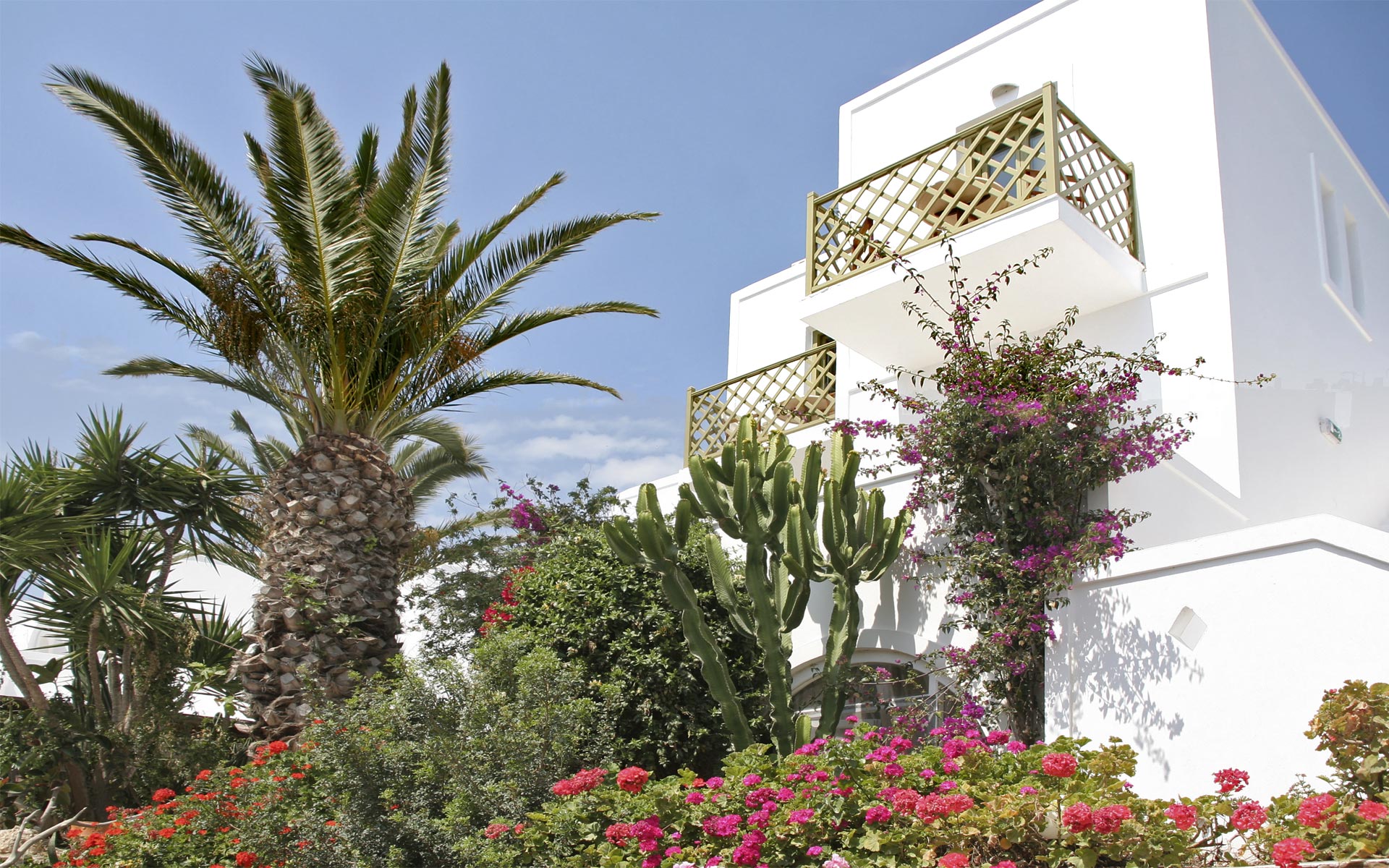 Artemis Hotel Antiparos